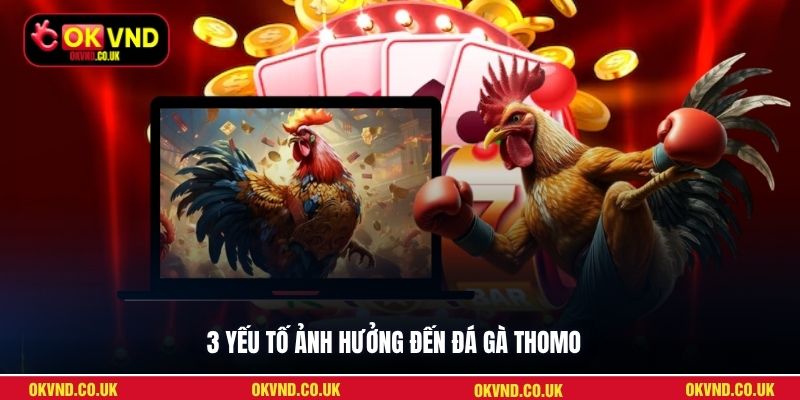3 yếu tố ảnh hưởng đến đá gà Thomo