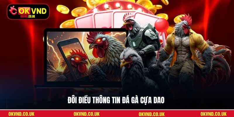 Đôi điều thông tin đá gà cựa dao