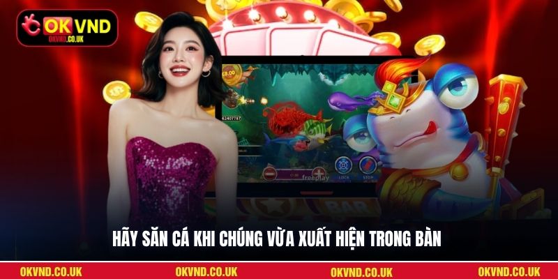 Hãy săn cá khi chúng vừa xuất hiện trong bàn