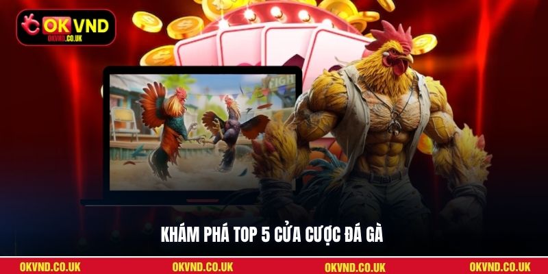 Khám phá top 5 cửa cược đá gà
