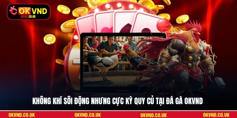 Không khí sôi động nhưng cực kỳ quy củ tại đá gà OKVND