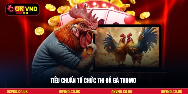Tiêu chuẩn tổ chức thi đá gà Thomo