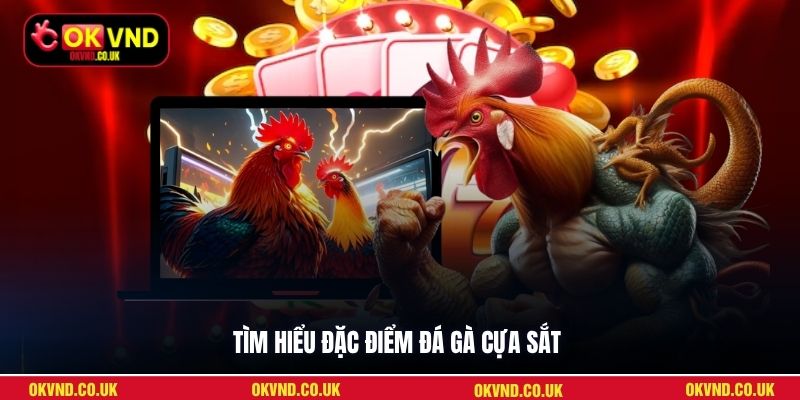 Tìm hiểu đặc điểm đá gà cựa sắt