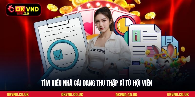 Tìm hiểu nhà cái đang thu thập gì từ hội viên