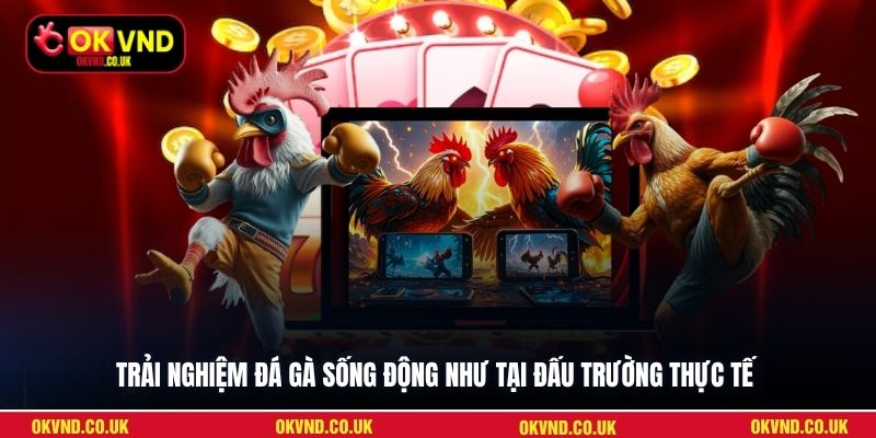 Trải nghiệm đá gà sống động như tại đấu trường thực tế